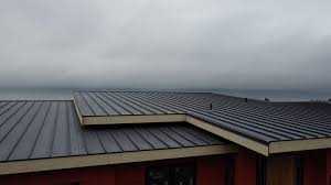 Fast & Reliable Emergency Roof Repairs in Washington, PA